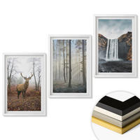 WANDBILDER 3er-Set - 40x60 cm Weißer Rahmen - Waldlandschaften, wilde Natur - Weiß, Kunststoff (40/60cm) - ArtPrintCave