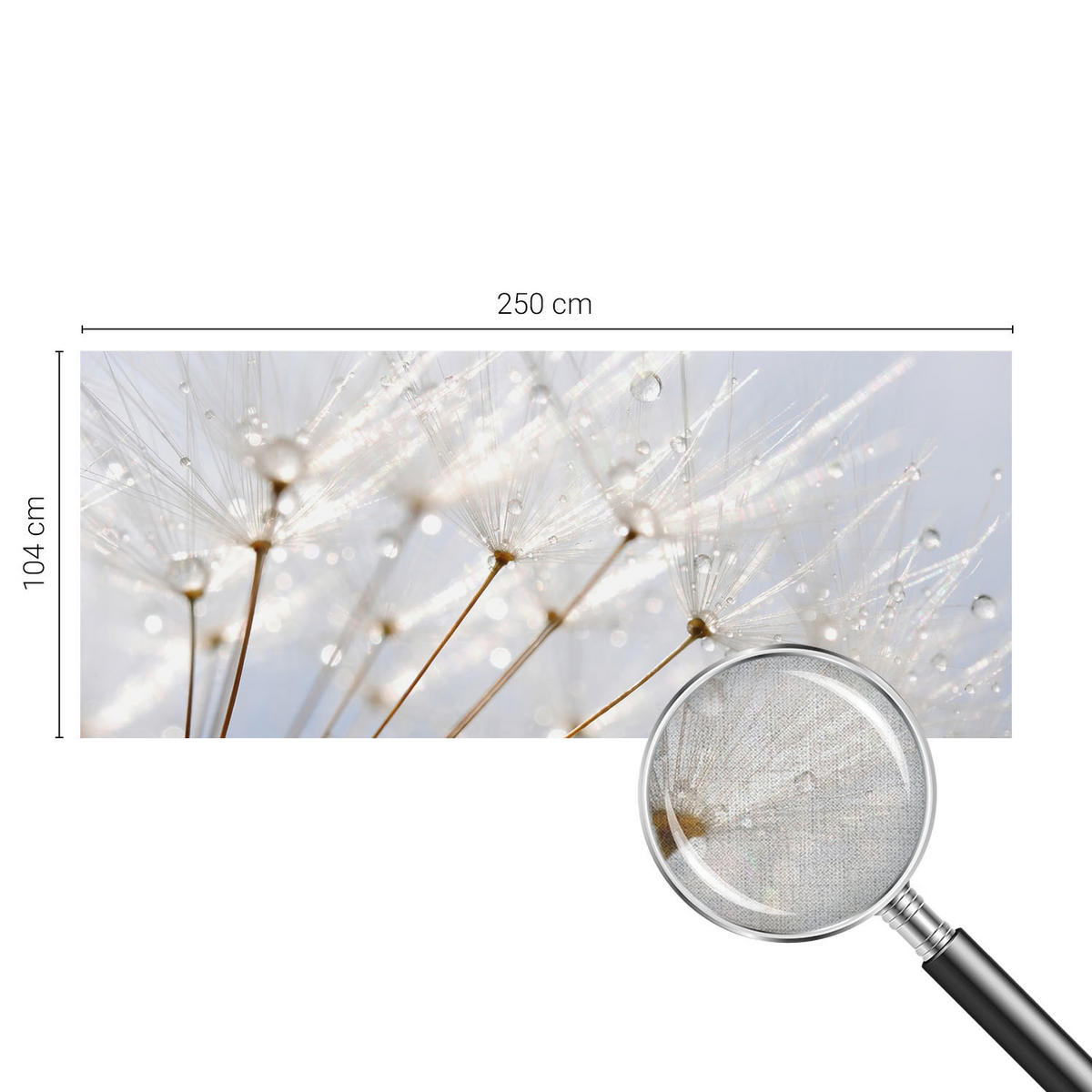 FOTOTAPETE 250x104 cm - Rosafarbener Löwenzahn - Weiß, Textil (250/104cm) - Wallfluent