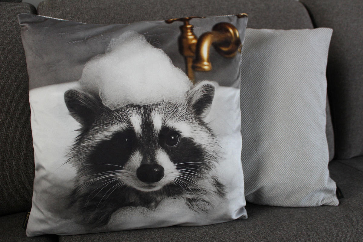 KISSENHÜLLE WASCHBÄR BILL Schaumbad - Grau, Textil (45/45cm) - Yve! decoration