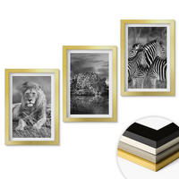 WANDBILDER 3er Set - 20x30 cm Goldrahmen - Wildtiere der Savanne - Goldfarben, Kunststoff (20/30cm) - ArtPrintCave