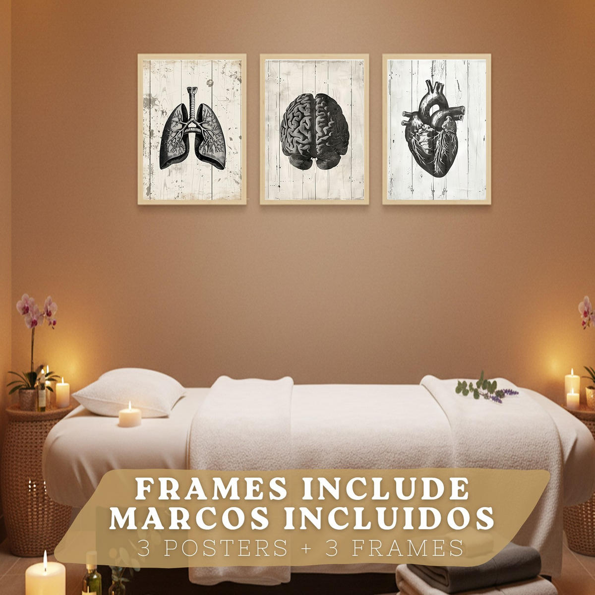 POSTER Set aus 3 Anatomie Mensch Drucke und mit Gehirn Herz Lungen Luftröhre Bronchien Industrielles Schwarz Weiß Design Größe Leichter Holzrahmen A3 - Beige, Papier (29.7/42/3cm) - Nacnic