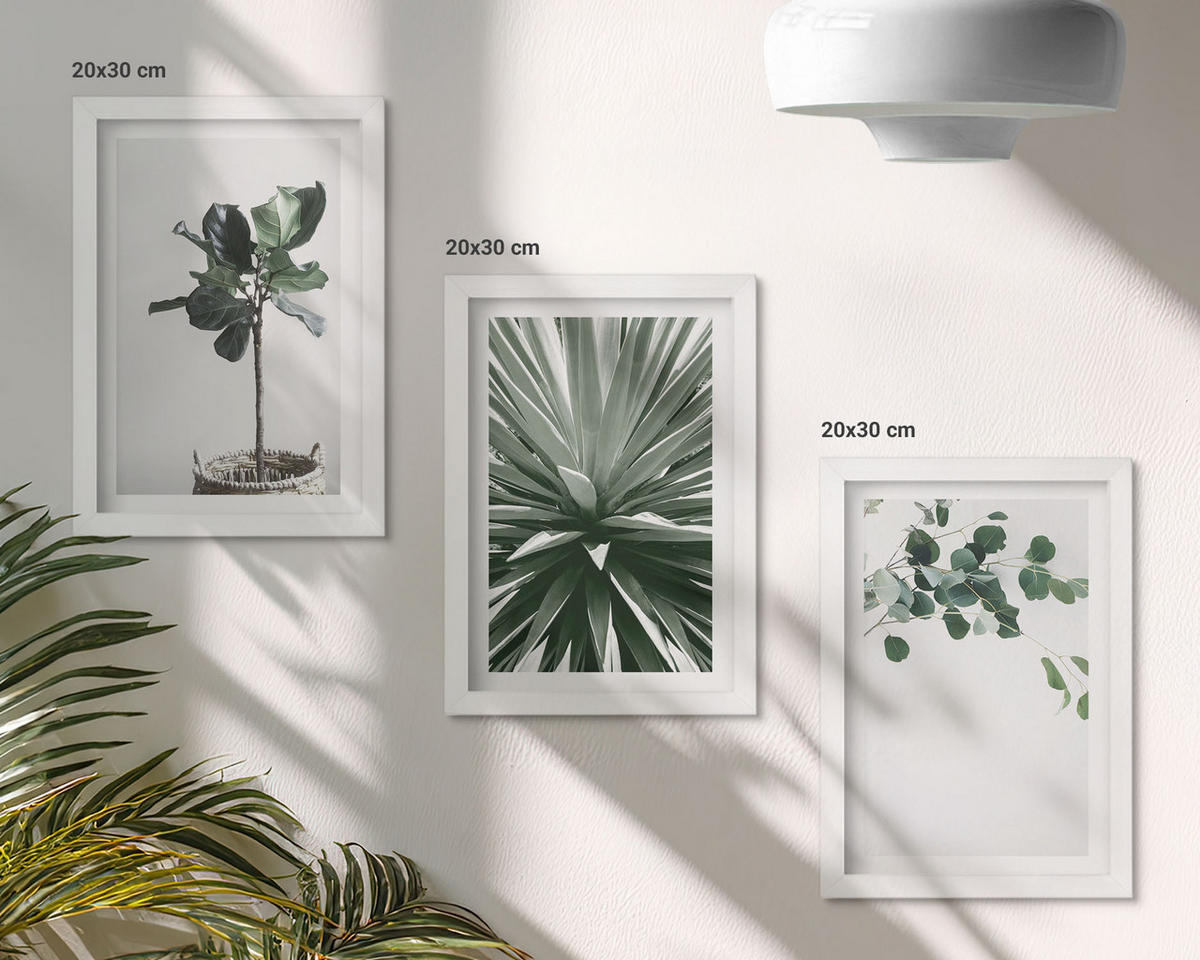 WANDBILDER 3er-Set - 20x30 cm Weißer Rahmen - Minimalismus mit grünen Pflanzen - Weiß, Kunststoff (20/30cm) - ArtPrintCave