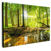 LEINWANDBILD Wald - Landschaft - Wasser - Bäume - Sonne - Grün - Natur Groß 140x90 cm - Grün, Textil (140/90cm) - MuchoWow