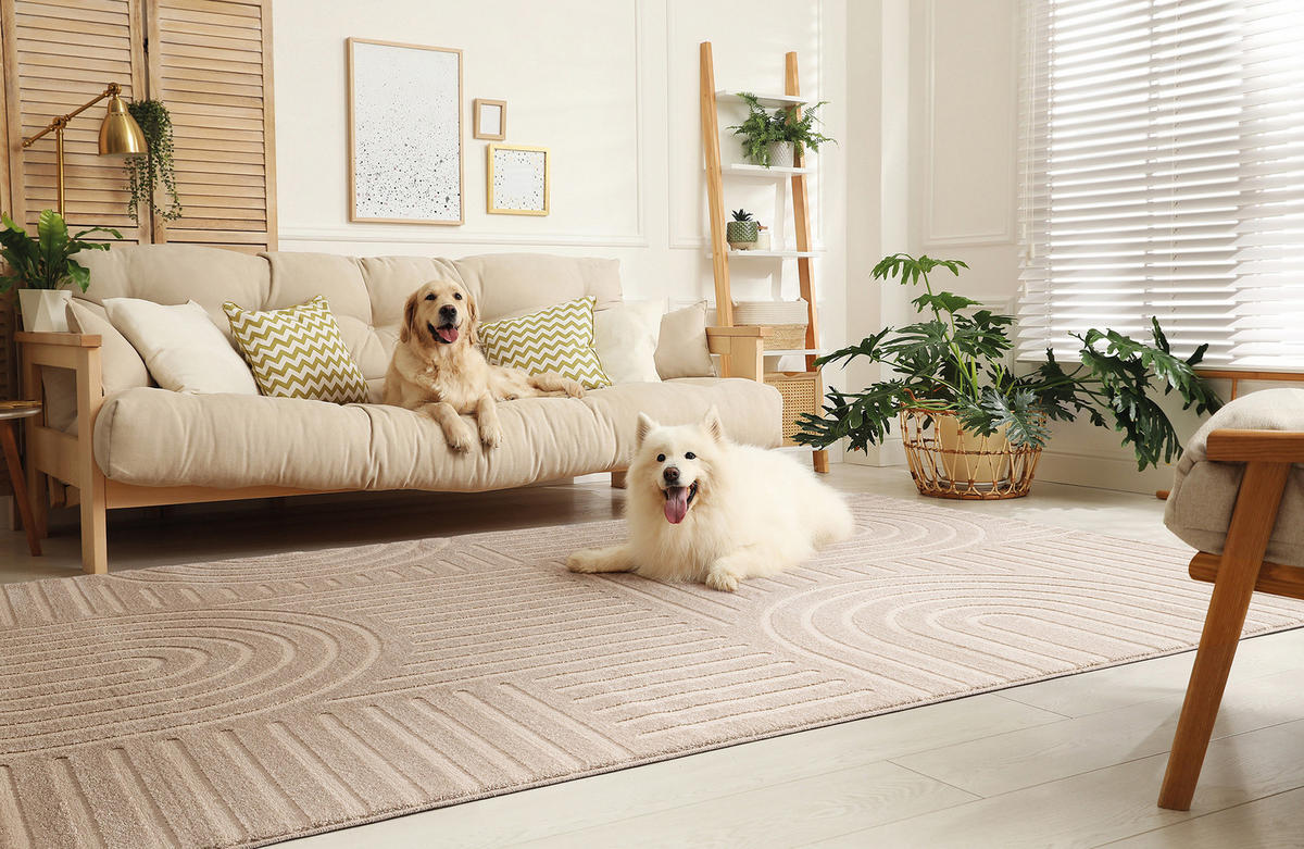 BOHO-TEPPICH Beige 120x160 cm - Beige, Textil (120/160cm) - Tesso Living