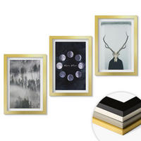 WANDBILDER 3er Set - 20x30 cm Goldrahmen - Waldlandschaft, Nebel, Mond, Hirschschädel - Goldfarben, Kunststoff (20/30cm) - ArtPrintCave