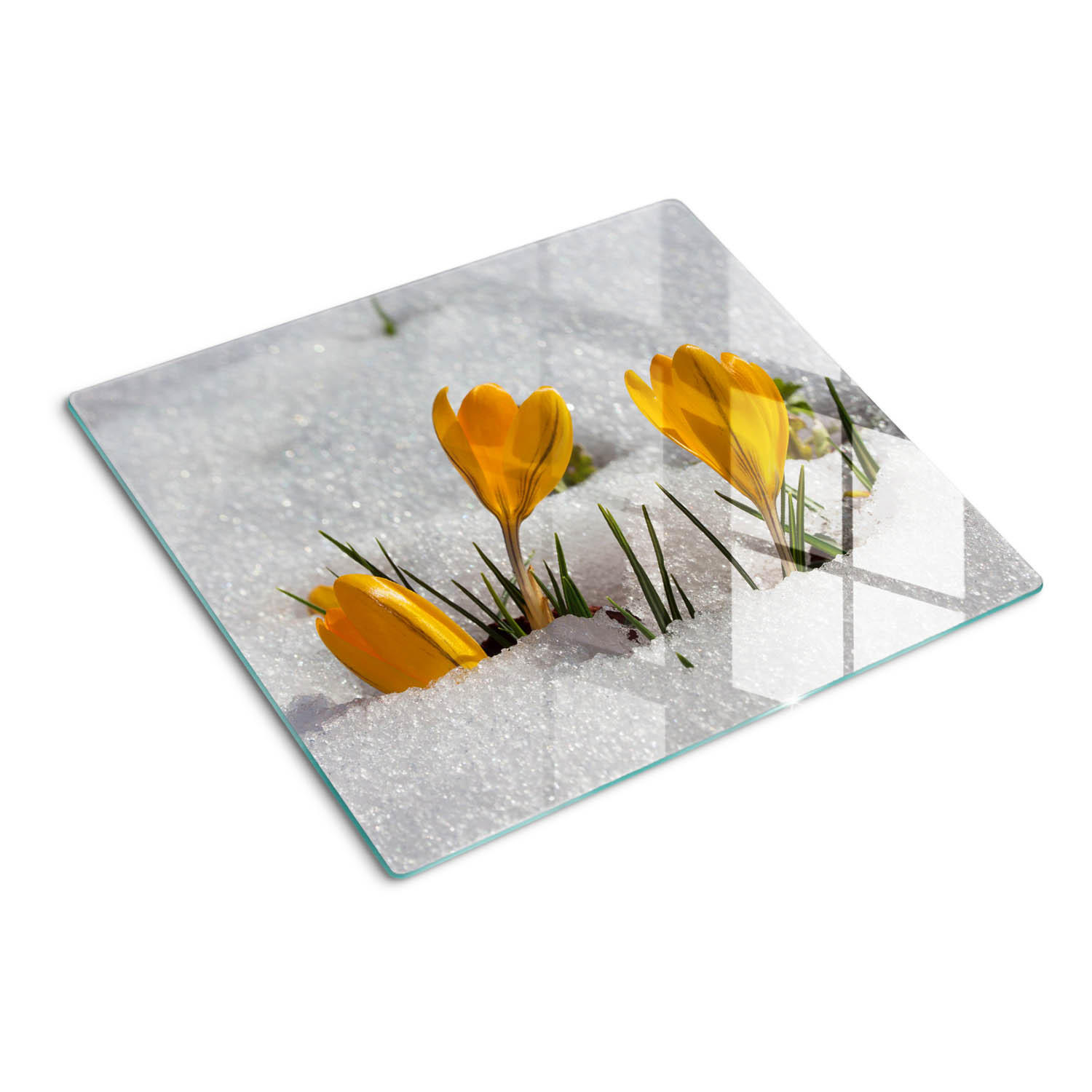 GLASPLATTE 60x52 cm Krokusse im Schnee - Gelb, Glas (60/0.4/52cm) - TULUP