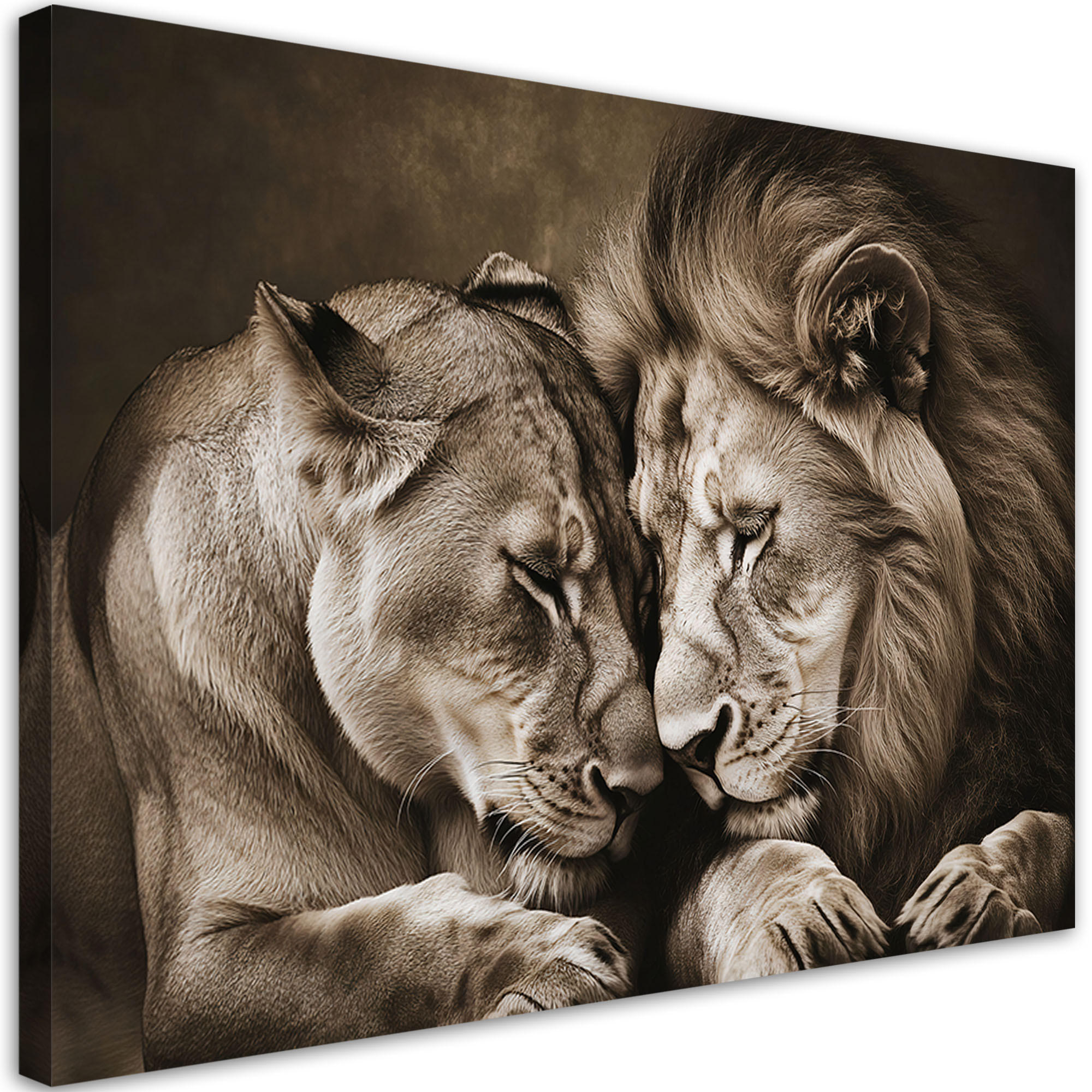 Feeby Leinwandbild, Braun 30x20 cm