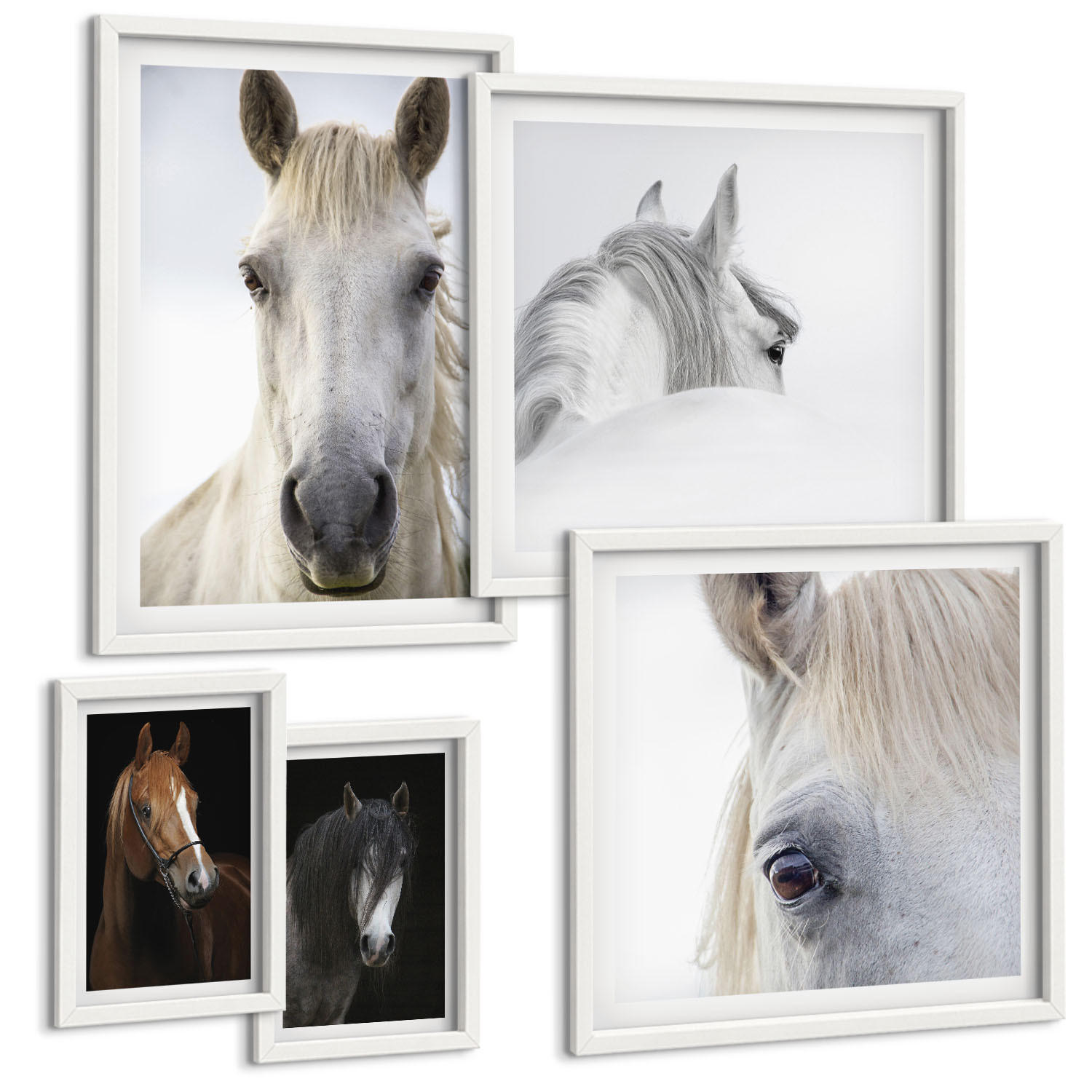 BILDER SET 5er Set - 50x50 cm & 20x30 cm & 40x60 cm Weißer Rahmen - Pferdeporträts in Schattierungen - Weiß, Kunststoff (40/60cm) - TULUP