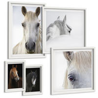 BILDER SET 5er Set - 50x50 cm & 20x30 cm & 40x60 cm Weißer Rahmen - Pferdeporträts in Schattierungen - Weiß, Kunststoff (40/60cm) - TULUP