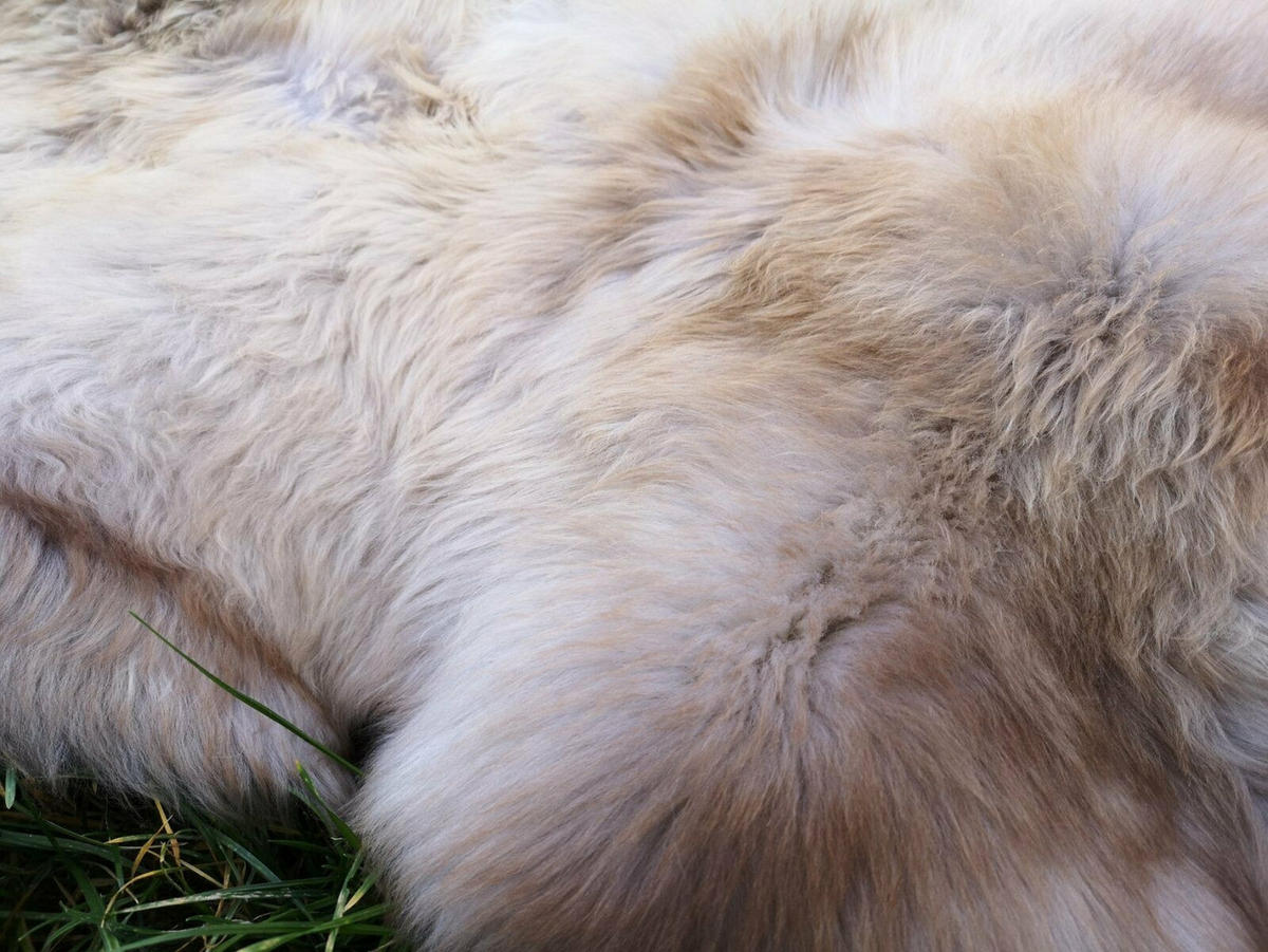 SCHAFFELL Lammfell natur meliert extra weich, ca. 110 cm, 3 Stück - Weiß/Naturfarben, Fell (60/110cm) - Provellus