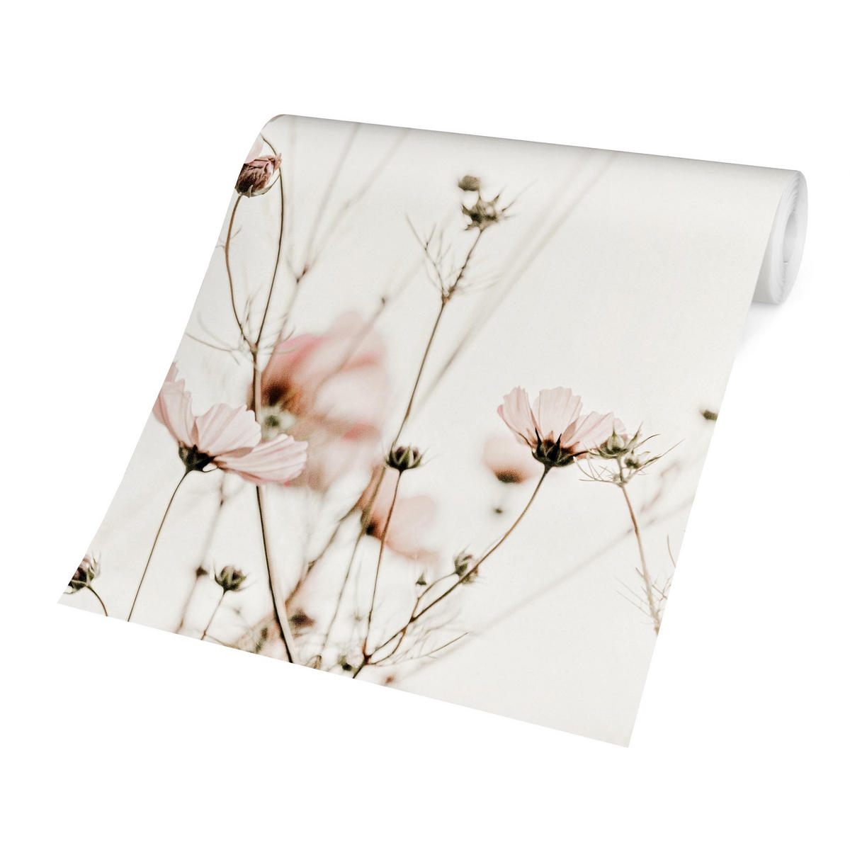 FOTOTAPETE Cosmea in zarten Cremetönen 192/192 cm - Eichefarben, Papier (192/192cm) - Bilderwelten