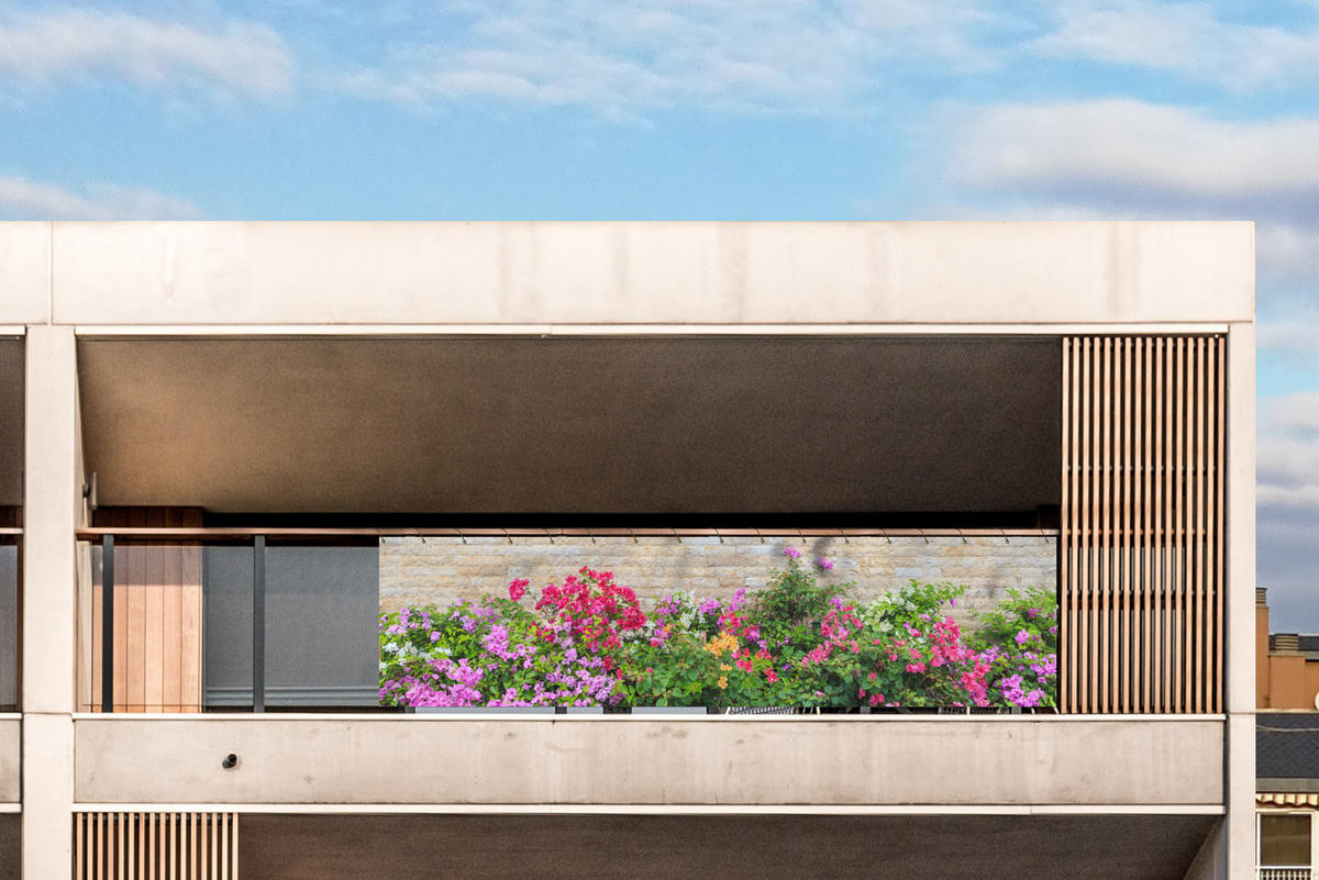 BALKON-SICHTSCHUTZ Blumen - Pflanzen - Blätter - Steine - Pink, Kunststoff (500/130cm) - MuchoWow