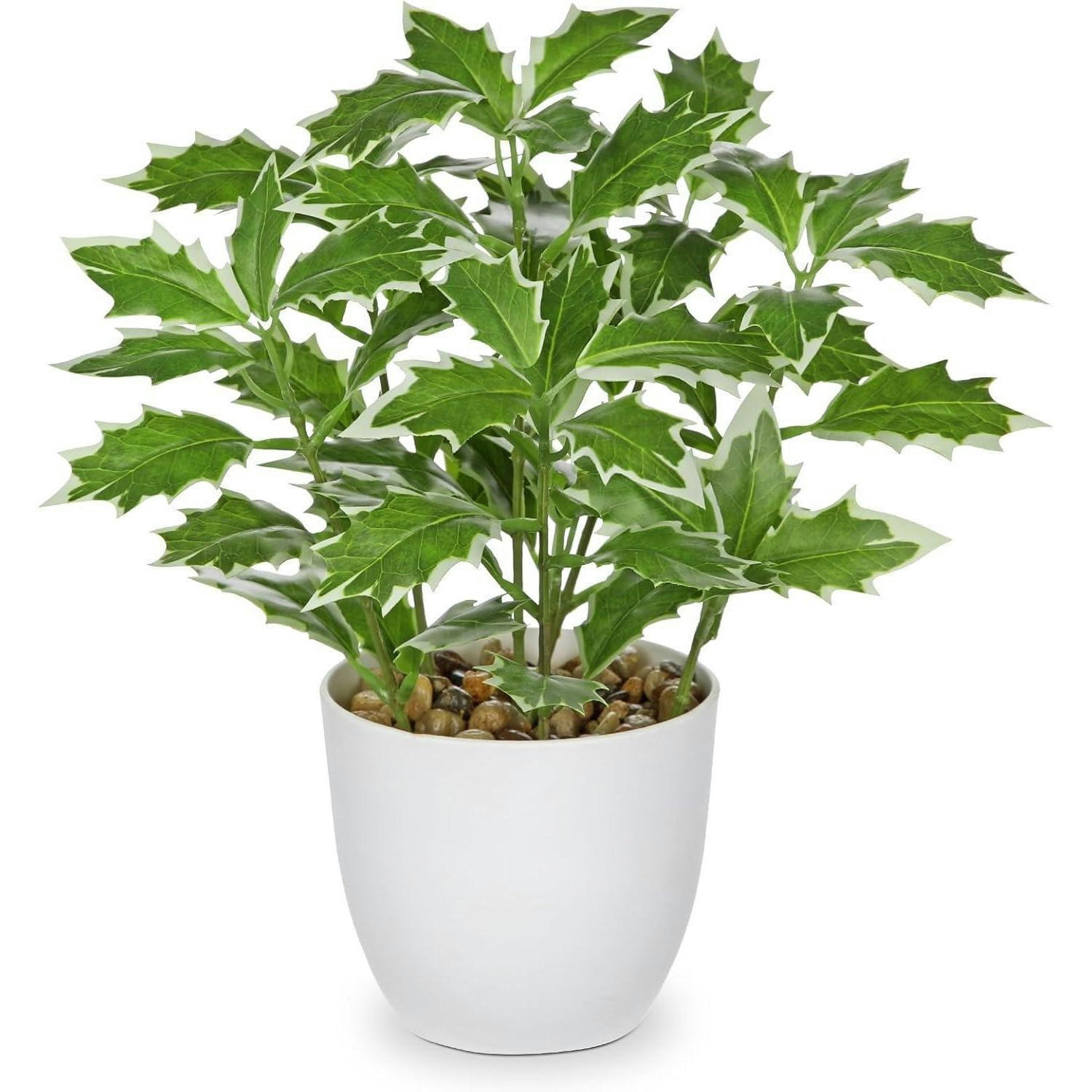 KUNSTPFLANZE Ficus 25 cm Grün/Weiß - Multicolor, Kunststoff (25cm)