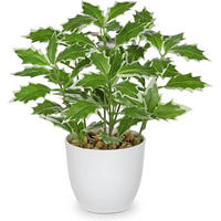 KUNSTPFLANZE Ficus 25 cm Grün/Weiß - Multicolor, Kunststoff (25cm)