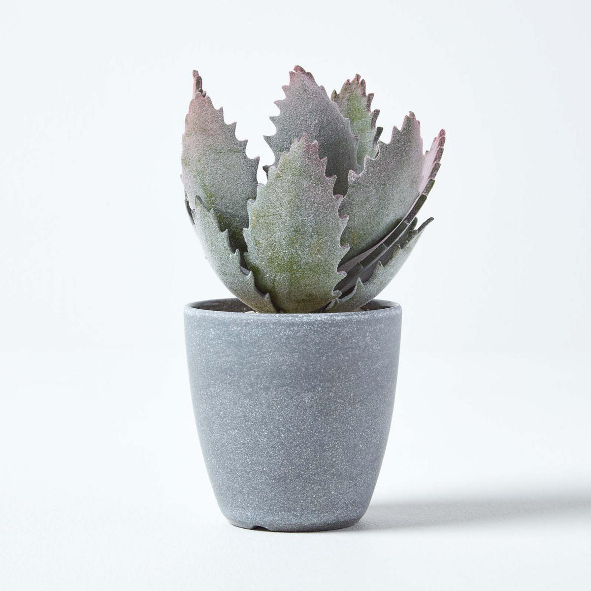 KUNSTPFLANZE Aloe vera im Deko-Topf, 21 cm - Grün, Kunststoff (21cm) - Homescapes