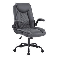 CHEFSESSEL DE-41049 mit Flip-up-Armlehnen und Lendenstütze Grau - Grau, Metall (64/102/64cm) - ComfortXL