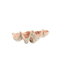 ORNAMENT Muschel Braun 41/25/17 cm - Braun, Kunststoff (25/17/41cm) - Light & Living