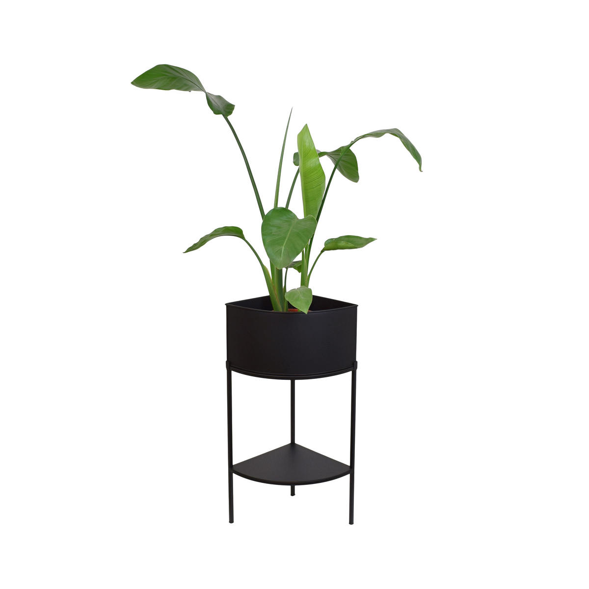 STEHENDER PFLANZKÜBEL Flora Schwarz - Schwarz, Metall (30/75/30cm) - LOFT42