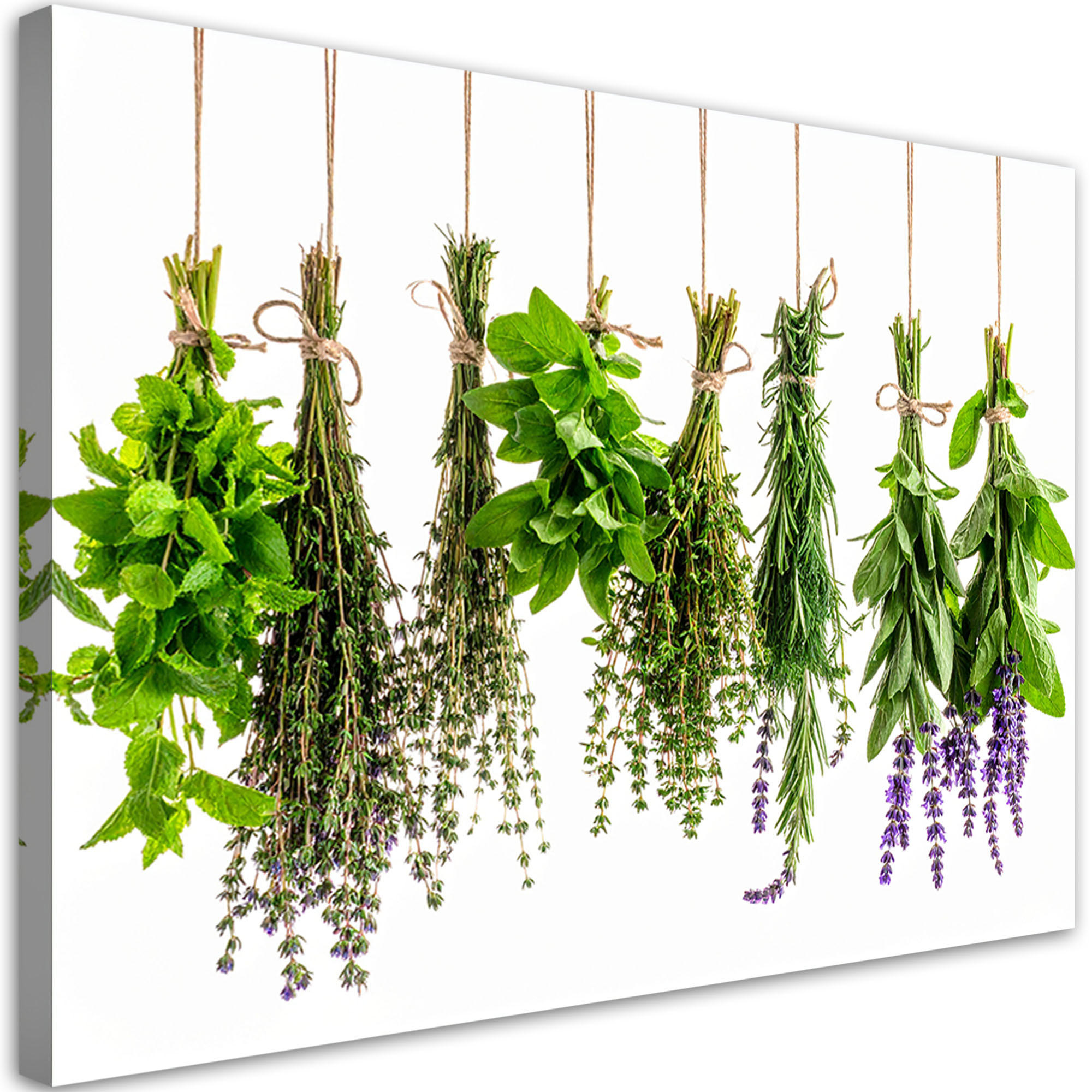 LEINWANDBILD Kräuter Gewürze Pflanzen 120x80cm - Grün, Textil (120/80cm) - Feeby