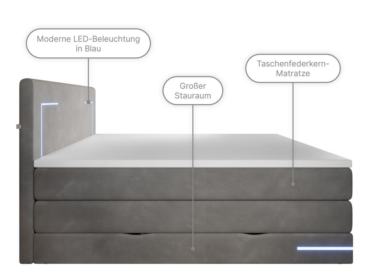 BOXSPRINGBETT Detroit anthrazit 180/200 cm H2/H3 Samt - Anthrazit, Textil (180/200cm) - wonello