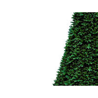 WEIHNACHTSBAUM künstlicher DELUXE BERNARD 500 cm, grün, 2D/3D, 17204 Zweige, inkl. Metallständer - Grün, Kunststoff/Metall (288/500cm) - LAALU