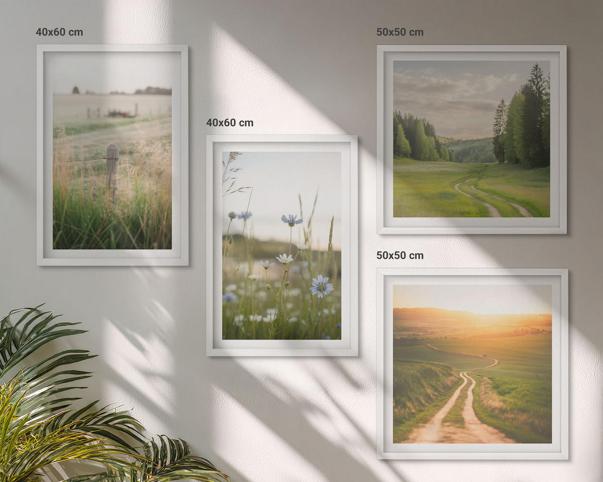 BILDER SET 4er Set - 50x50 cm & 40x60 cm Weißer Rahmen - Landschaften Natur Felder Sonne - Weiß, Kunststoff (50/50cm) - TULUP
