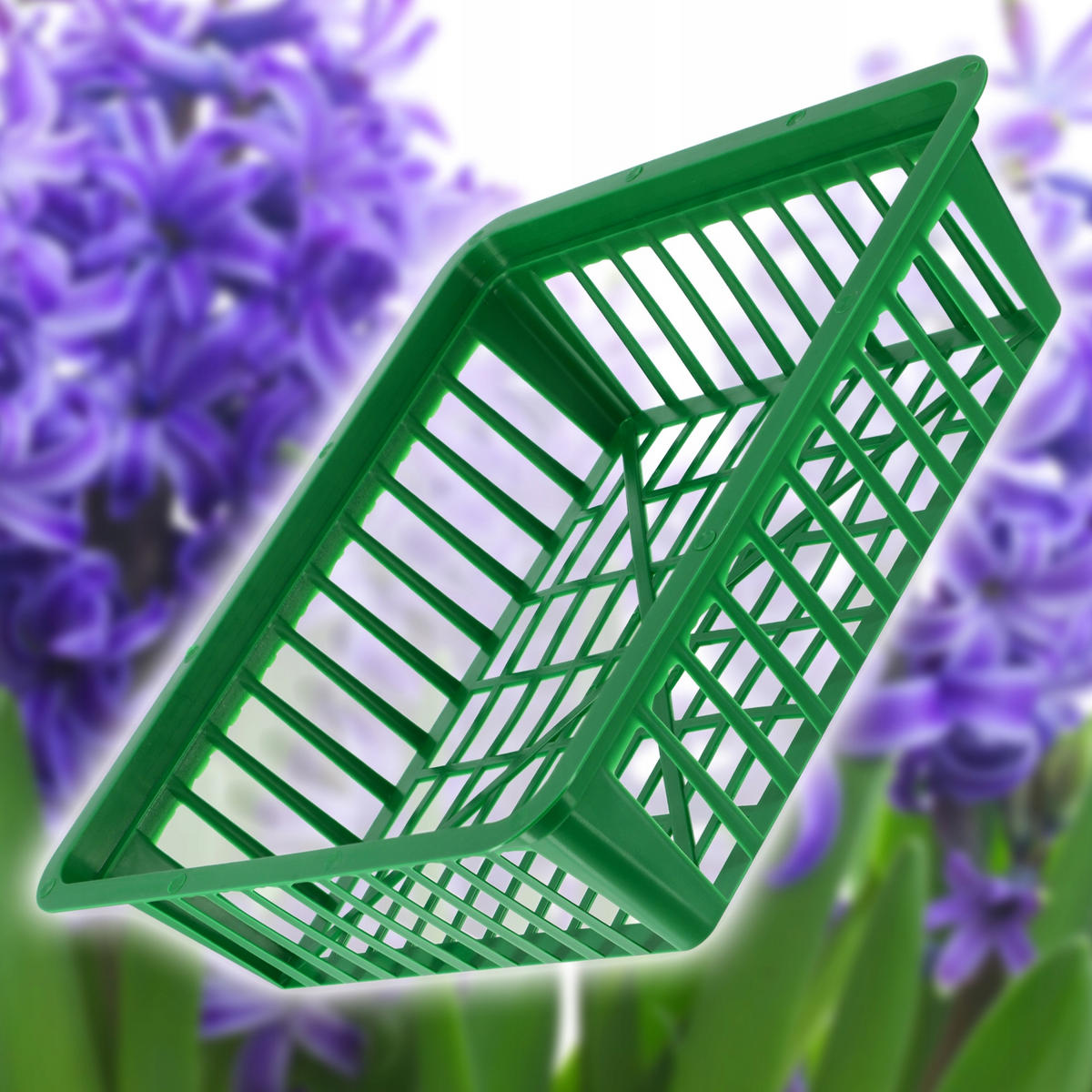 BLUMENZWIEBELKORB 28 x 25 cm, 10 Stk. - Grün, Kunststoff - KADAX