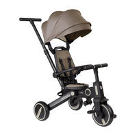 DREIRAD Trix 3 in 1 beige Schiebegriff, Sonnendach faltbar, Gurt - Beige, Metall (95/51/94cm) - Kikka boo