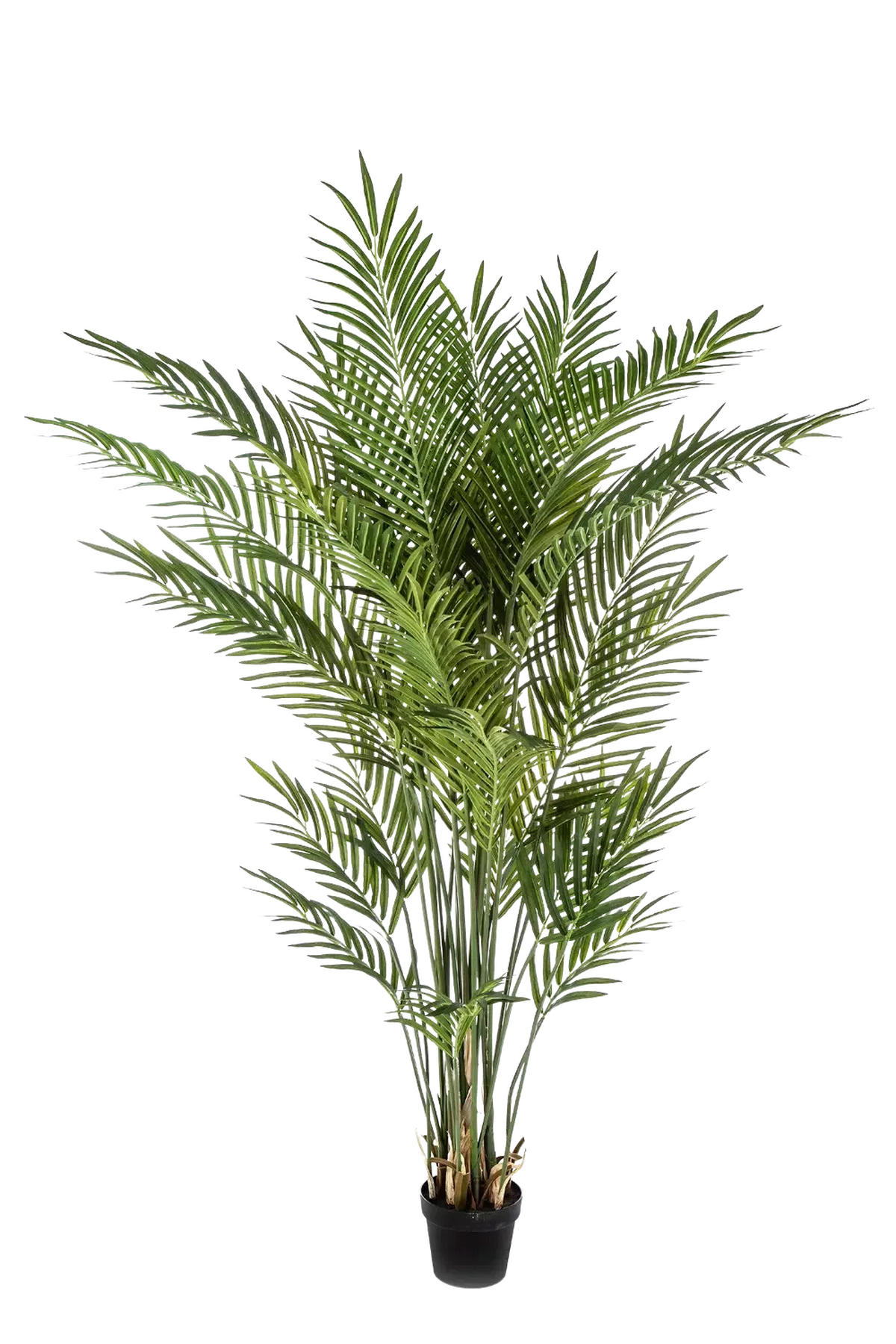 KUNSTBAUM Künstliche Goldfruchtpalme - Eva 170 cm - Grün, Kunststoff (170cm) - aplanta