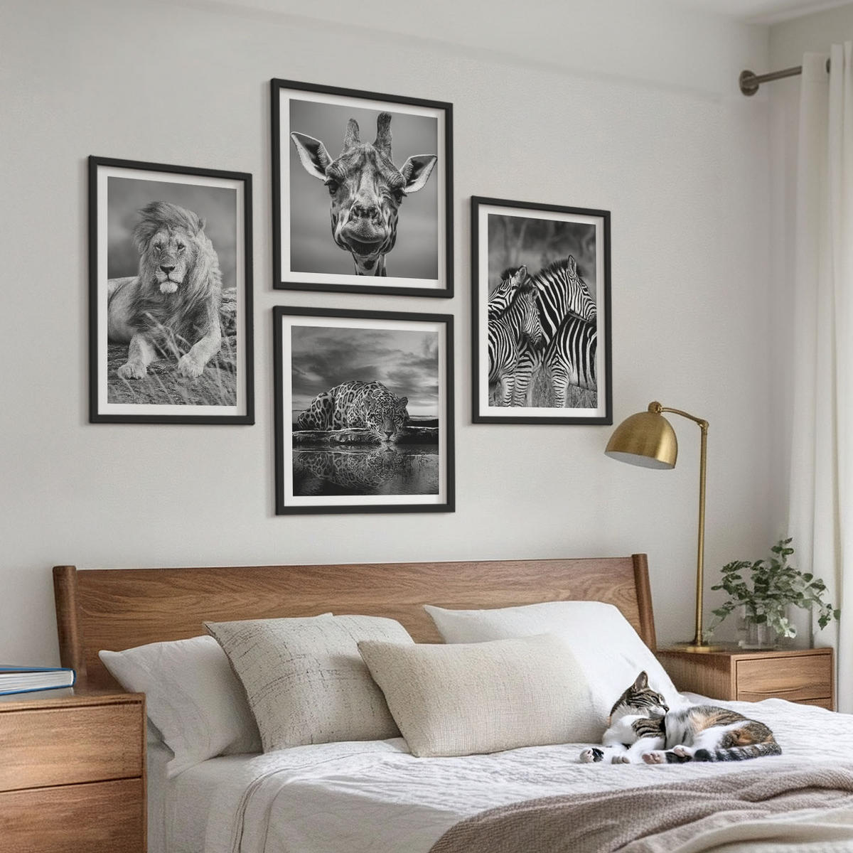 BILDER SET 4er Set - 50x50 cm & 40x60 cm Schwarzer Rahmen - Wildtiere Löwe Jaguar Giraffe Zebras - Schwarz, Kunststoff (50/50cm) - TULUP