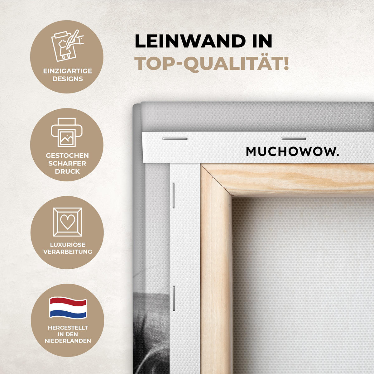 OBRAZ NA PLÁTNĚ Kráva - Skotský horal - Černá - Bílá - Zvíře - Příroda - Divoká zvěř 40x60 cm - černá, textil (40/60cm) - MuchoWow