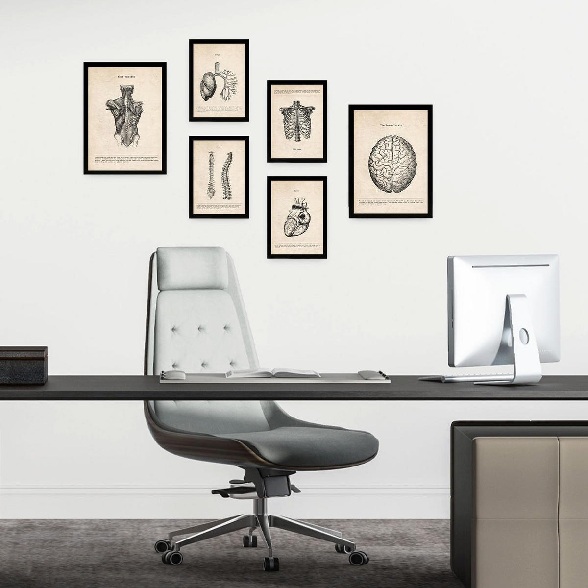 POSTER Set Mit 6 Medizinische Anatomie-Illustrationen des Oberkörpers Größe A3 und A4 Rahmenlos - Klar, Papier (29.7/1/42cm) - Nacnic