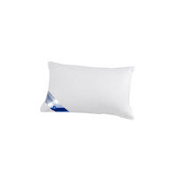 KOPFKISSEN EXQUISIT Fest - 30% GÄNSEDAUNEN - Weiß, Naturmaterialien/Textil (40/60cm) - Böhmerwald