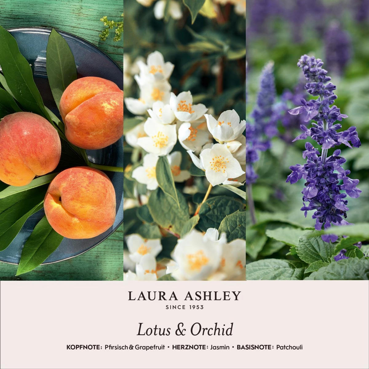 DUFTKERZEN Laura Ashley - Orange, Naturmaterialien/Glas (10cm)