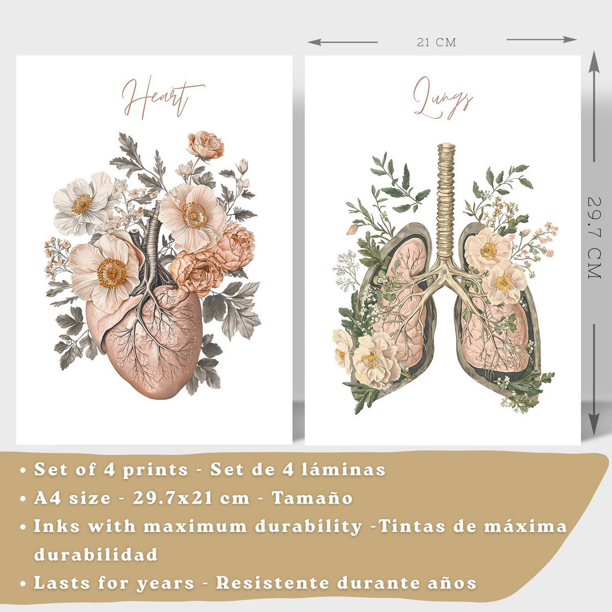 POSTER Set aus 4 Anatomie Mensch Florale Drucke und Wandbilder mit Herz Lungen Skelett und Schädel Stil Wanddekoration Größe Leichter Holzrahmen A4 - Beige, Papier (21/29.7/3cm) - Nacnic