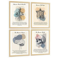 POSTER Set aus 4 Anatomie Mensch Lernposter Drucke und Wandbilder mit Muskeln Rücken Rippen Gehirn und Schädel Modernes Design Größe Rahmenlos A3 - Klar, Papier (29.7/42/3cm) - Nacnic