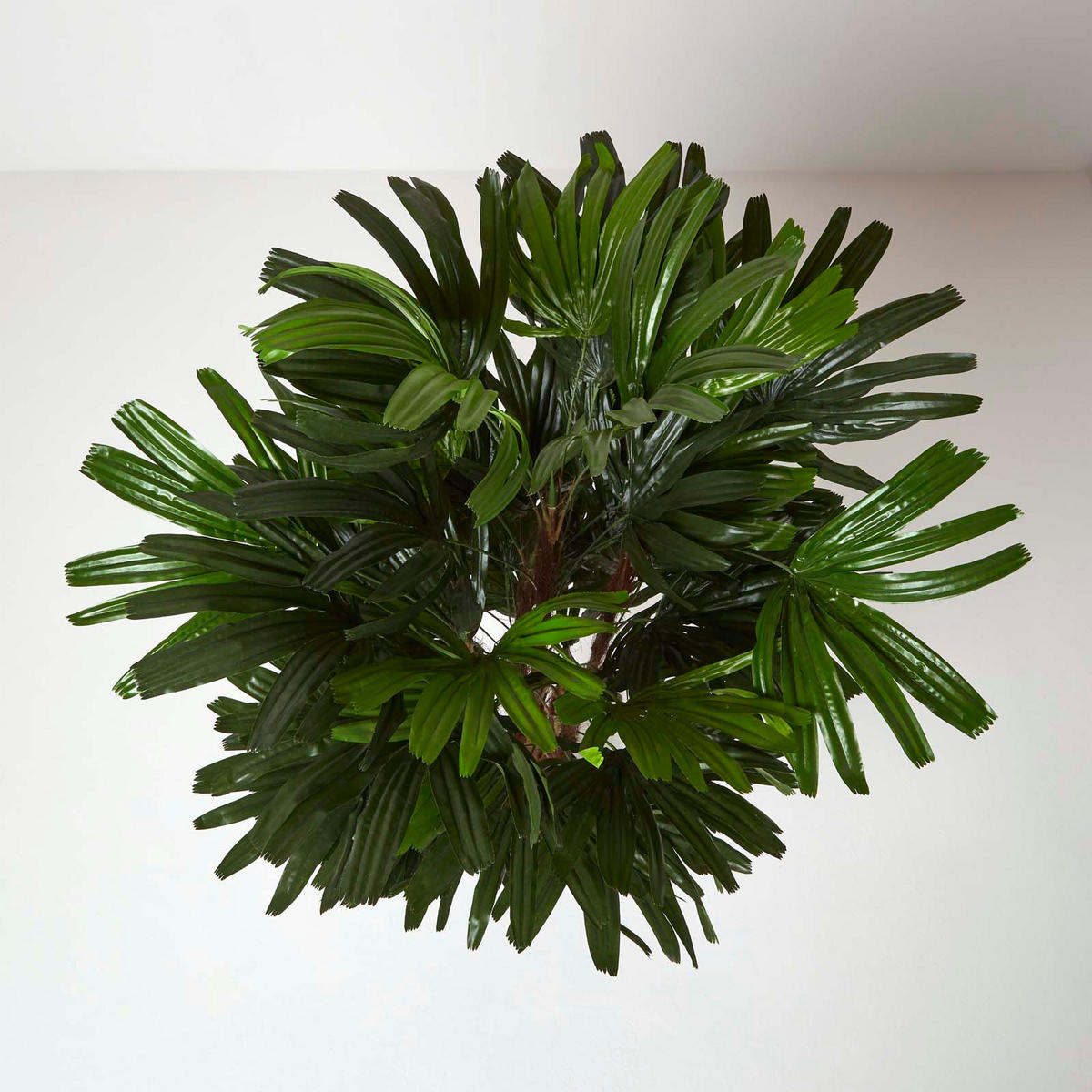 KUNSTPALME Rhapis, 150 cm - Grün, Kunststoff (150cm) - Homescapes