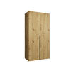 DREHTÜRENSCHRANK 202/100/52 2-türig - Schwarz/Eiche Artisan, Holz (100/202/52cm) - Abiks Möbel