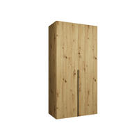 DREHTÜRENSCHRANK 202/100/52 2-türig - Schwarz/Eiche Artisan, Holz (100/202/52cm) - Abiks Möbel