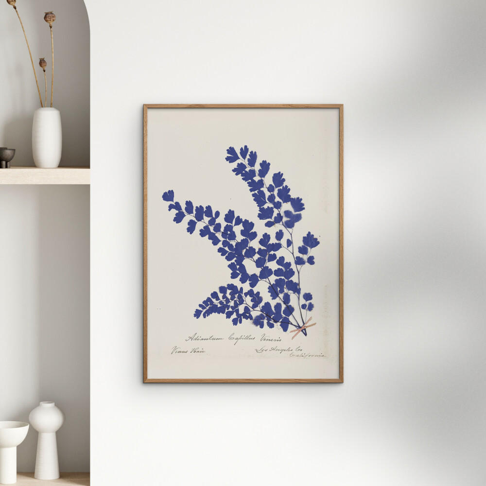 POSTER Wild Apple - Botanical Fern III Blue - Blau, Papier (30/40/0.1cm) - Poster&Frame