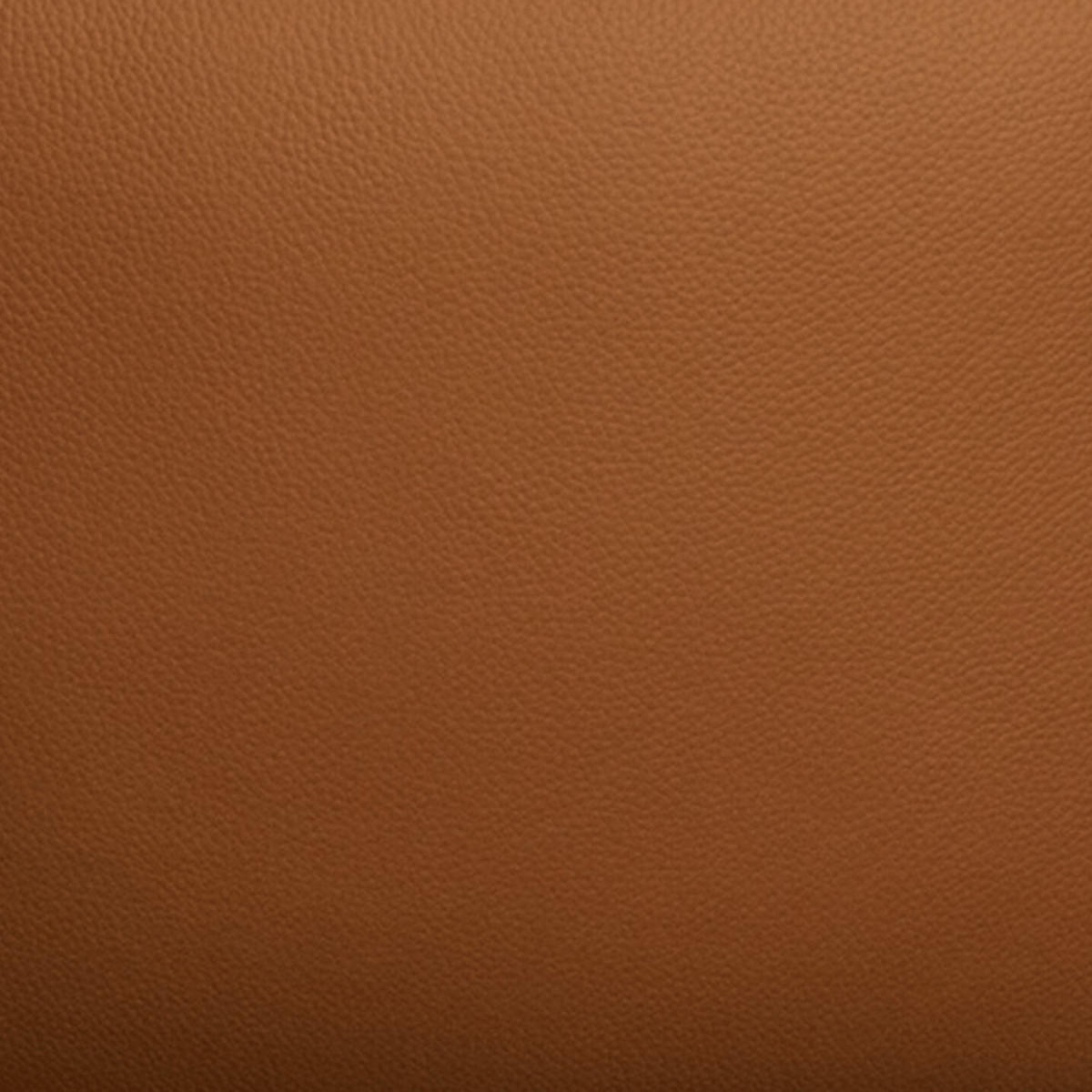 STUHL 1 Stück in Echtleder Cognacbraun - Schwarz/Braun, Leder/Metall (58/83/58cm) - Furnhouse