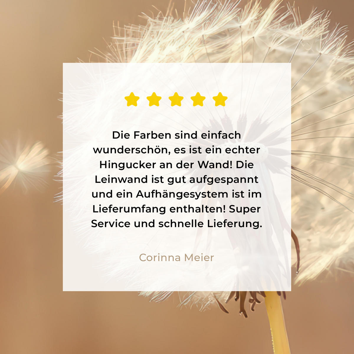 LEINWANDBILD Löwenzahn - Beige - Natur - Blume 20x20 cm - Hellbraun, Textil (20/20cm) - MuchoWow