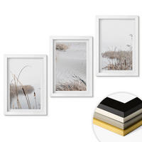 WANDBILDER 3er-Set - 20x30 cm Weißer Rahmen - Wasserpflanzen im Sommer - Weiß, Kunststoff (20/30cm) - ArtPrintCave