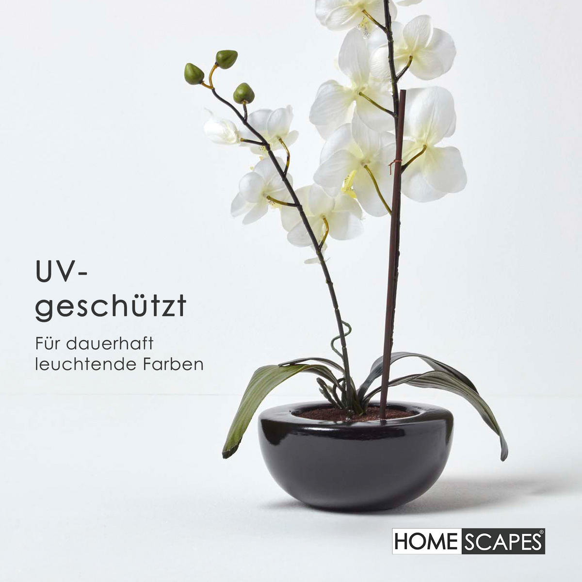 KUNSTBLUME Orchidee weiß in Schale, 54 cm - Creme, Kunststoff (54cm) - Homescapes