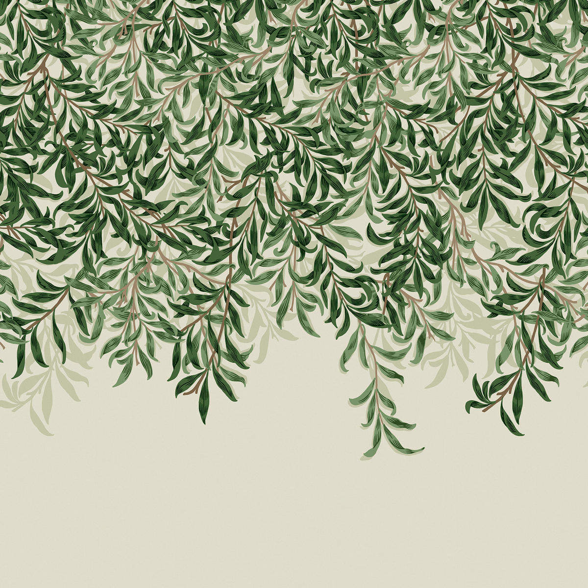 FOTOTAPETE - Willow Bough Greens - Grün, Papier/Kunststoff (250/400cm) - Graham & Brown