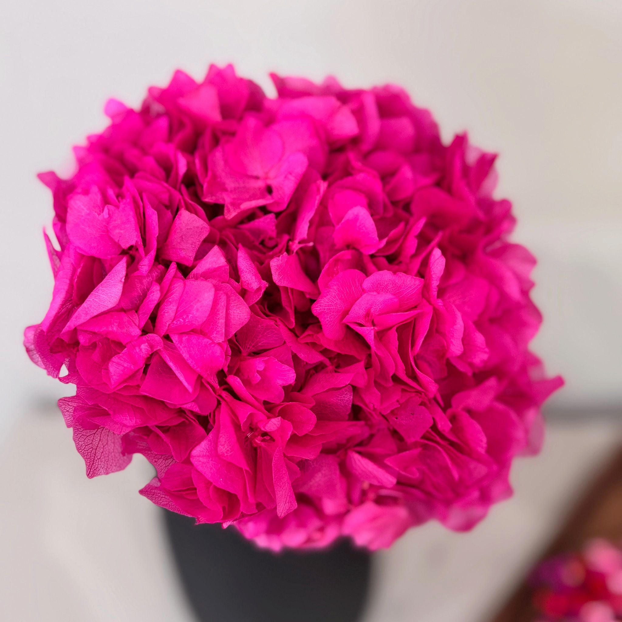 TROCKENBLUMEN Hortensie pink - Pink, Naturmaterialien (35cm) - Lykke & You