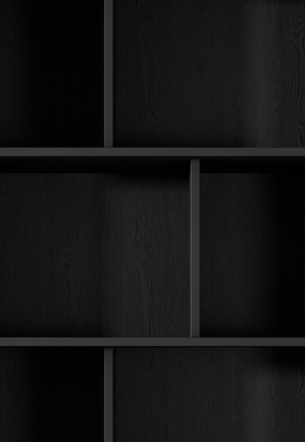 STANDREGAL A Lante schwarz 88 / 38 / 194cm - Schwarz, Holz/Holzwerkstoff (88/194/38cm) - Feldmann-Wohnen