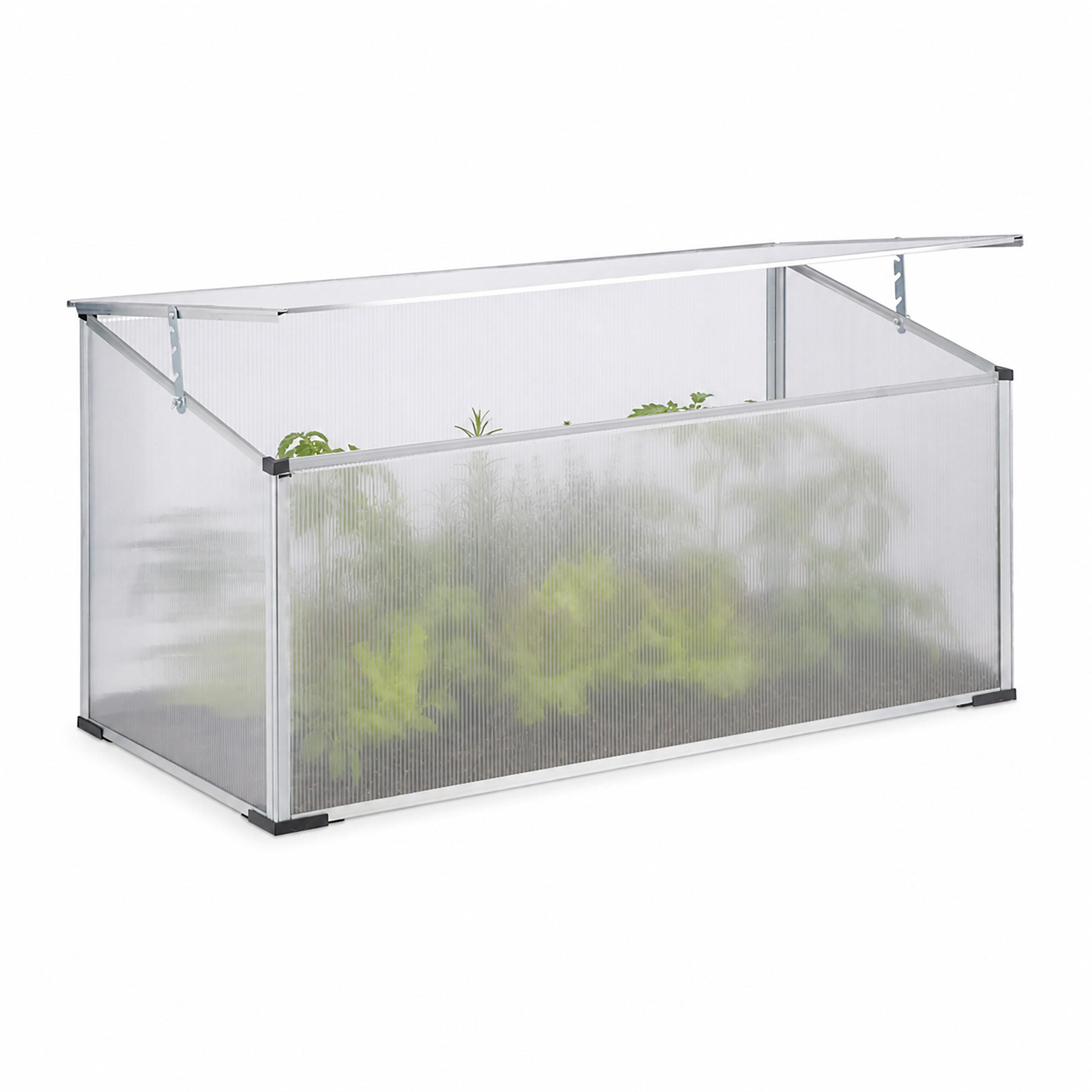 FRÜHBEET Transparent Aluminium 100x50 cm 4 Stufen - Transparent, Kunststoff/Metall (100/50/50cm) - Relaxdays