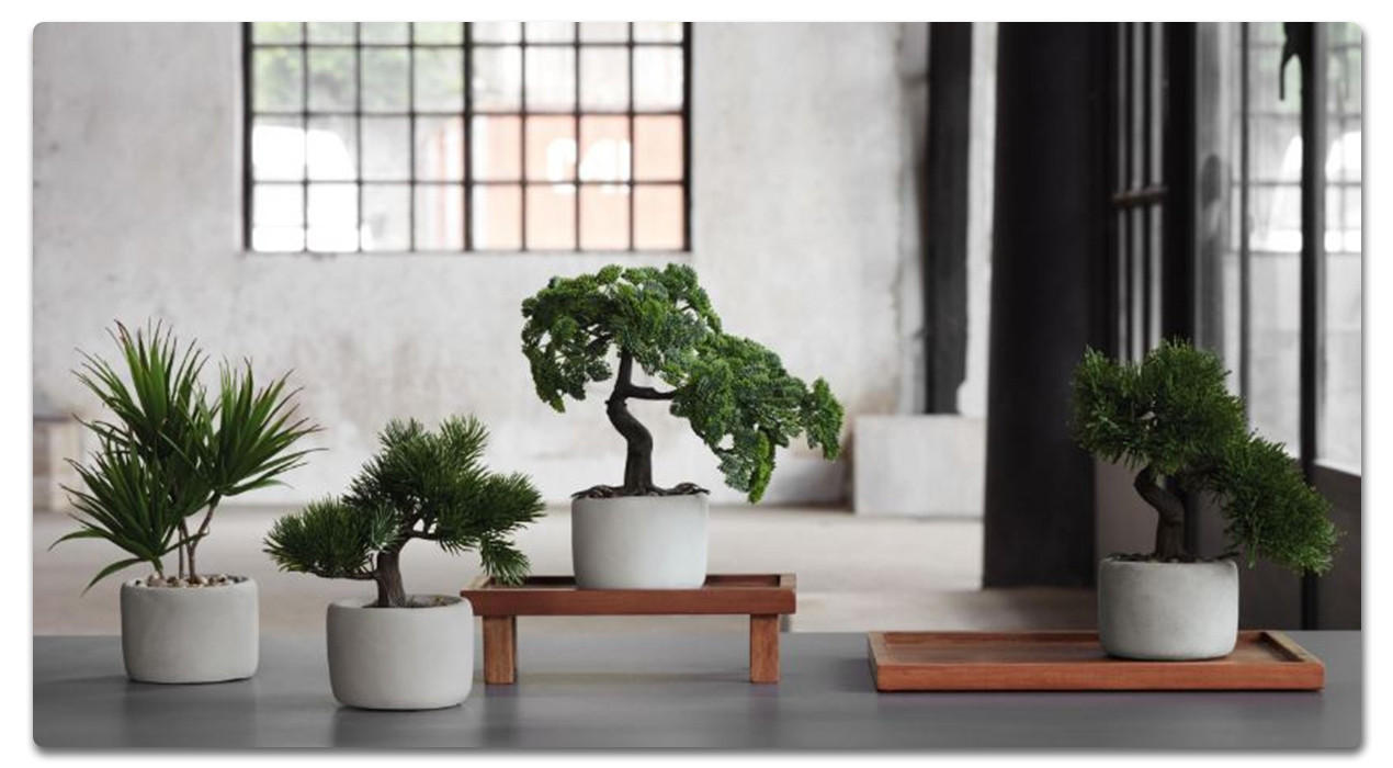 Feng-Shui im Wohnzimmer: Harmonie pur durch passende Deko & Pflanzen