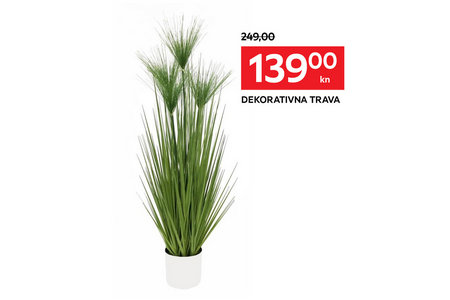 dekorativna trava